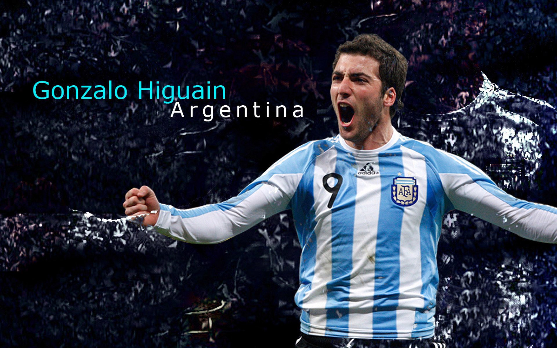 AYX SPORTS-“美洲狮队奋勇拼搏,征战橄榄球冠军锦标赛”